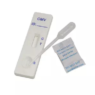 Una prova rapida dell'oro colloidale diagnostico di punto per l'anticorpo di Igm al citomegalovirus