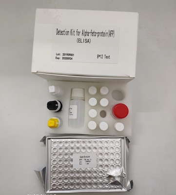 Alpha Fetoprotein Elisa Detection Kit quantitativa AFP in siero umano