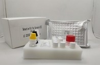 Antigene del centro di Igg Elisa Kit For Hepatitis B del test diagnostico del plasma del siero