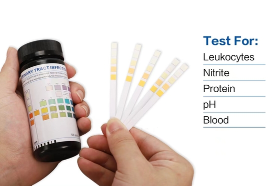 Strisce test accurate di infezioni delle vie urinarie di Invbio 50 strisce/bottiglia