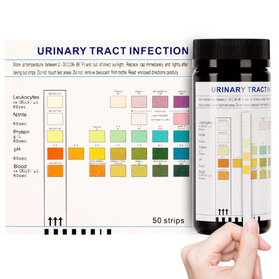 Strisce test accurate di infezioni delle vie urinarie di Invbio 50 strisce/bottiglia