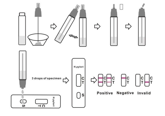 Malattie infettive H Pylori Sgabello Test Kit Helicobacter Pylori Antigen Instant