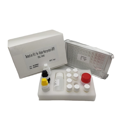 Alpha Fetoprotein Elisa Detection Kit quantitativa AFP in siero umano