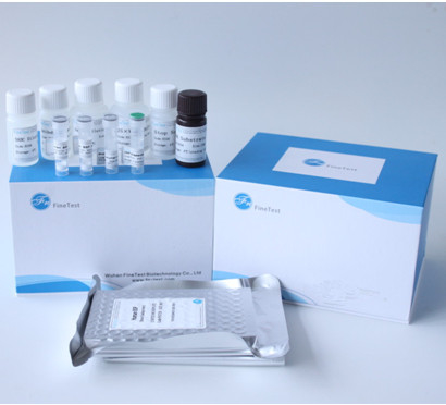 Angiotensina I che converte enzima ACE Elisa Test Kit INVBIO