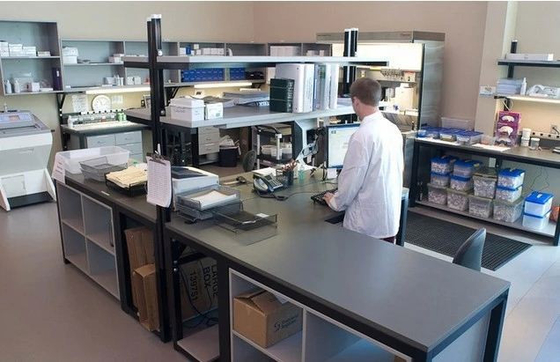 Fattore di crescita placentare di PLGF Elisa Test Kit