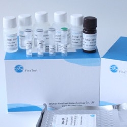 Il Fsc ha certificato Elisa Kit Human Ifnw 1 interferone Omega-1